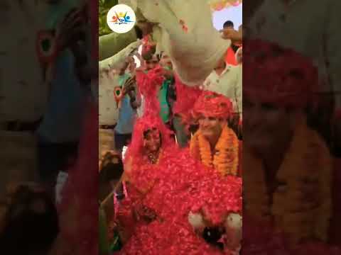 Har har Mahadev 🙏#mahadev #mahakal #viral #vlog #nature #shivbhajan #shiv #bholenath #ram #shorts