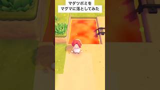 マダツボミをマグマに落としたら反応が面白すぎたwww【ぽこあポケモン】#shorts