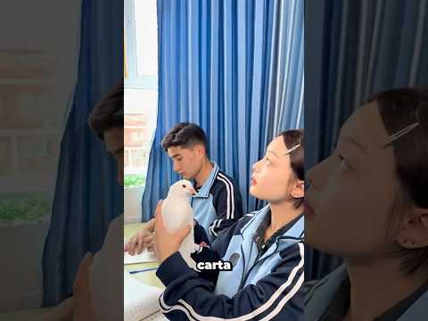 La paloma de una estudiante entró por la ventana con un mensaje 😮