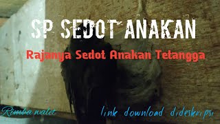 Download lagu Suara Panggil Walet || SP Sedot Anakan mp3 Download lagu Suara Panggil Walet || SP Sedot Anakan mp3