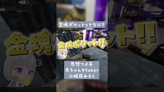 …金塊ポケットってなに? #onlyup #vtuber #切り抜き #深層組 #小城夜みるく