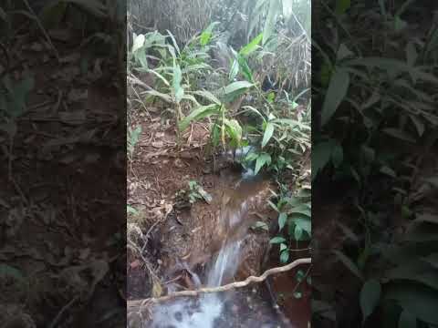 cachoeira da região de Orizona, Goiás