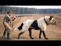 The 10 Strongest Hunting Dog Breeds