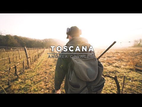 download lagu mp3 mp4 Caccia Di Selezione Al Capriolo Toscana, download lagu Caccia Di Selezione Al Capriolo Toscana gratis, unduh video klip Caccia Di Selezione Al Capriolo Toscana
