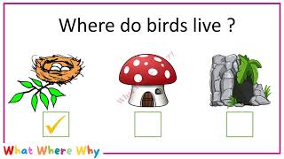 Kids IQ 3 || KG Kids IQ || Kids General Knowledge || Basic IQ for LKG UKG|| Basic IQ for JKG SKG