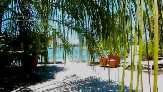 Panasonic Lumix DMC-ZS3 HD 1080p Video Test - (with a little Herbie Mann)