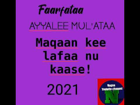 Faar. Ayyalee Mul'ataa- (Maqaan kee lafaa nu kaase!)