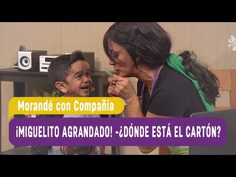 Miguelito the Big Shot! - Chapter 3: Where's the Cardboard? - Morandé and Company 2017