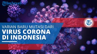 Mengenal Covid-19 Delta Plus, Varian Baru dari Mutasi Virus Corona yang Menjadi Ancaman Baru