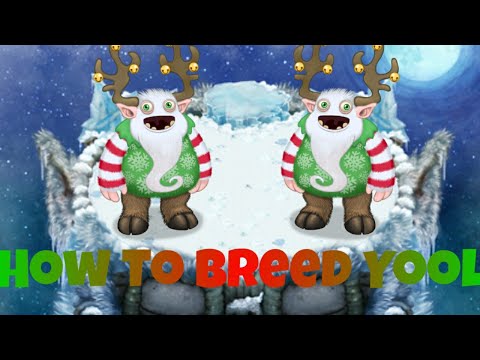 3rd YouTube video about how do i know if my yool is ready to breed