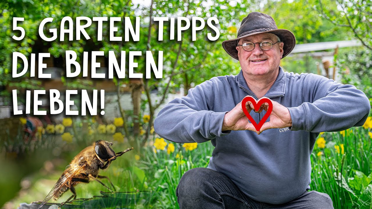 Bienen halten Video 3