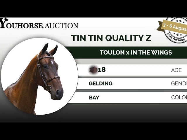 Tin Tin Quality Z
