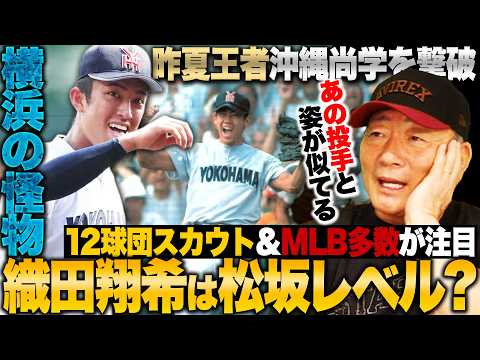 【徹底比較】