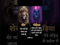 Sher Vs Bhediya Lion Attitude King Forest Bhediya Wolf Wolfgang Mindset Focus Motivation