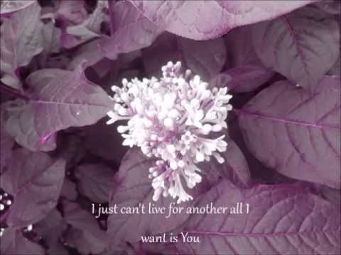 All I Want Is You