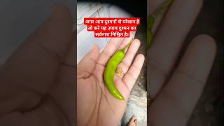 Download lagu shatru nashak mantra| शत्रुनाशक मंत्र#shatrumarantotka#shatrumaranmantra#astrology#upay#shorts#vastu mp3