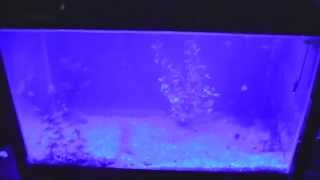 DIY LED Aquarium Light Timer (DIY LED Fluorescent Aquarium Light Conversion continued)