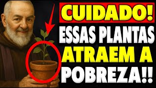 Padre Pio Revela algumas Plantas em Casa Que Estão Sugando Sua Prosperidade!
