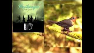 CANTO DO UIRAPURU cd Montenegro.wmv