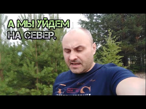 Когда ждать вторую волну коронавируса. Будет ли второй этап ковид 19. Стоит ли ждать COVID 19.