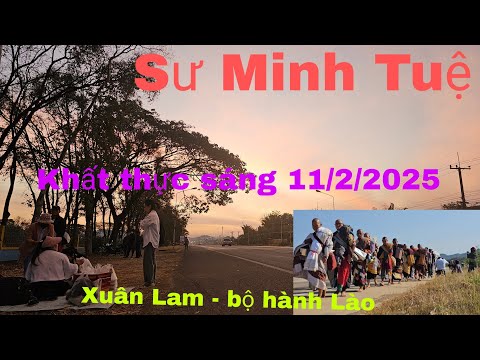 Khất Thực Buổi Sáng Của Sư Minh Tuệ — 11/2/2025