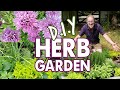 DIY Easy Herb Garden For Beginners