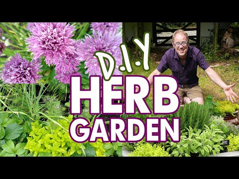DIY Easy Herb Garden for Beginners 🌱