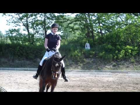 Zarah Leone, Mělník 2012, Z1