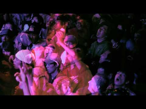 タートルアイランドについて詳しく解説