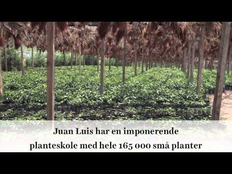 Skoleprosjekt Guatemala 2013