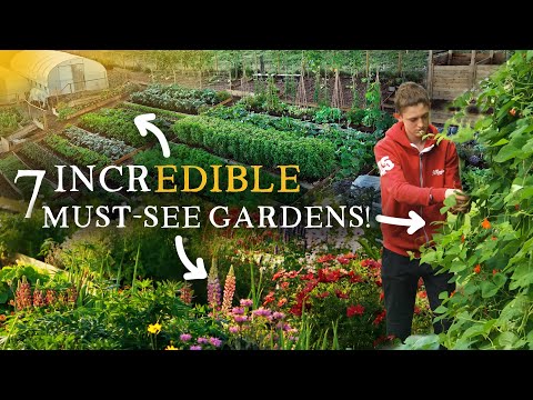 7 Amazing NEW Kitchen Gardens | Ideas & Inspiration for Gardeners