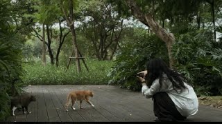 INFP | Diary of a Quiet Person on a Small Island |