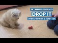 How to Train Your Dog to “Drop It”
