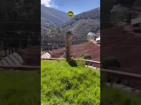 Táchira. Venezuela.