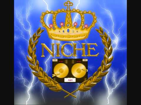 Nicole Scherzinger - Right There ft. 50 Cent (BASSLINE REMIX 2011)