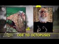 An Ode To Octopuses, with James Cosgrove - Coast Connections S04E14