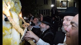 אלפים במדורת לג באומר של ניקלסבורג בבורו פארק - 2019