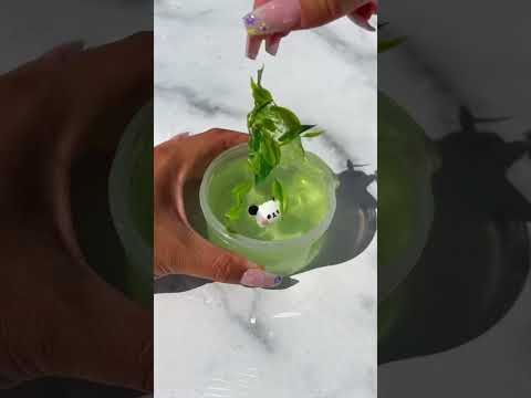 Name this slime without using the word pond