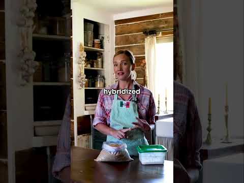 Wheat Berries: The Secret to HEALTHY, DELICIOUS Bread #baking #bread #wholewheat #wholegrain #food