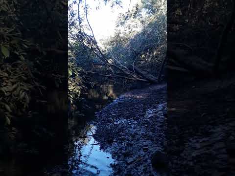 No local de lazer chamado: Cabeça da Vaca, nas áreas de irrigação em Piripiri-piauí.
