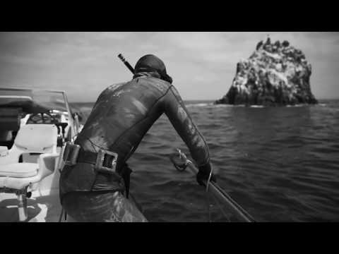 VAER - Classic Dark Video