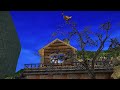 Screaming Chicken On Tree