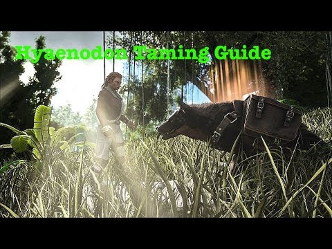 Ark Survival Evolved: Hyaenodon Taming Tips and Tricks (Xbox one and PS4)