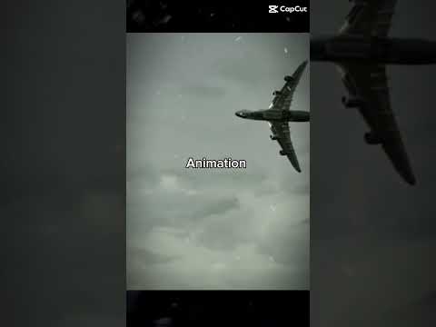 Animation vs real life (flight 102)