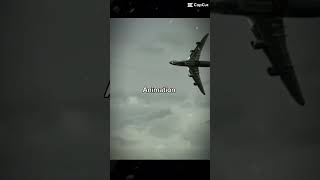 Cover art for animation vs real