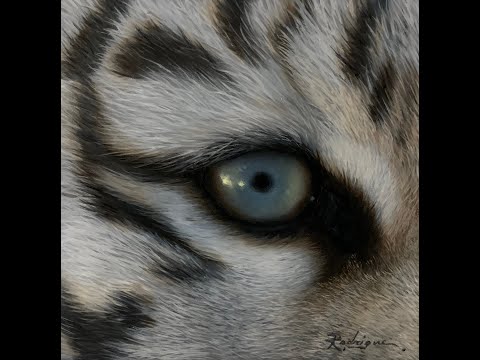 image-What color are white tiger eyes?