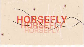 Dirty Heads - Horsefly (Official Lyric Video)