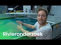 Hoe doe je onderzoek naar een rivier? | Doen Ze Dat Zo