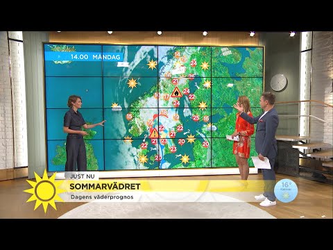 Helomvändning i väder: ”Välbehövligt”  - Nyhetsmorgon (TV4)