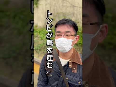 トンビが鷹を産む